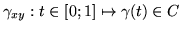 $\gamma_{xy} :t\in [0;1] \mapsto \gamma (t)\in C$